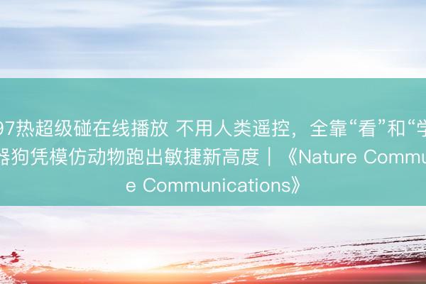 97热超级碰在线播放 不用人类遥控，全靠“看”和“学”！这只机器狗凭模仿动物跑出敏捷新高度｜《Nature Communications》