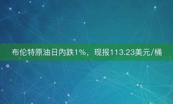 布伦特原油日内跌1%，现报113.23美元/桶