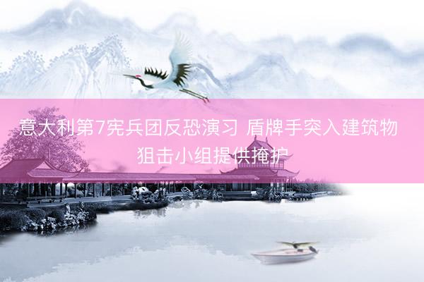 意大利第7宪兵团反恐演习 盾牌手突入建筑物 狙击小组提供掩护