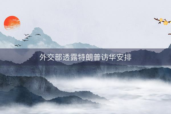 外交部透露特朗普访华安排