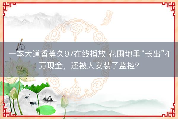 一本大道香蕉久97在线播放 花圃地里“长出”4万现金，还被人安装了监控？