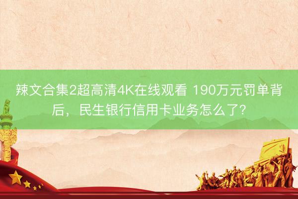 辣文合集2超高清4K在线观看 190万元罚单背后，民生银行信用卡业务怎么了？