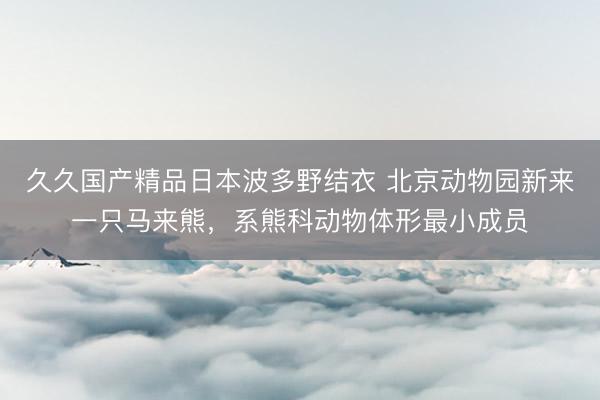久久国产精品日本波多野结衣 北京动物园新来一只马来熊，系熊科动物体形最小成员