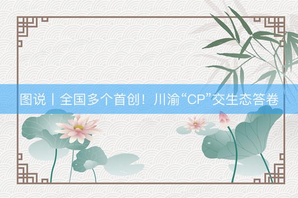 图说丨全国多个首创！川渝“CP”交生态答卷