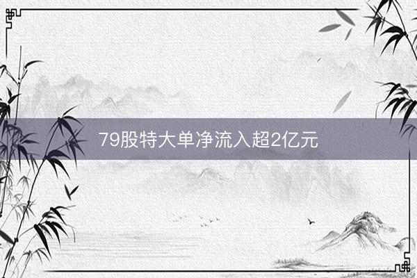 79股特大单净流入超2亿元