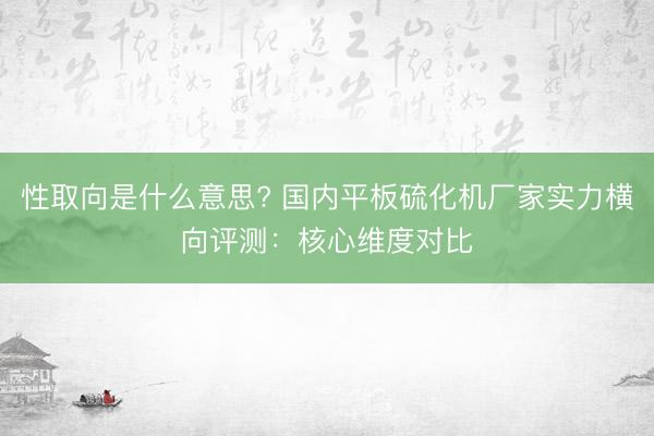 性取向是什么意思? 国内平板硫化机厂家实力横向评测：核心维度对比