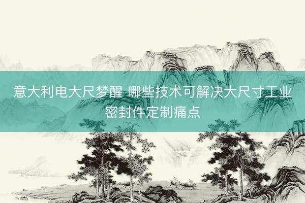 意大利电大尺梦醒 哪些技术可解决大尺寸工业密封件定制痛点