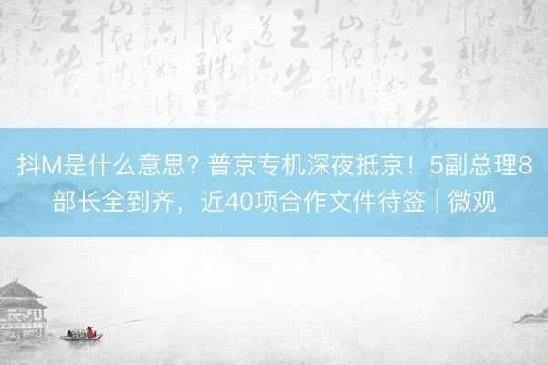 抖M是什么意思? 普京专机深夜抵京！5副总理8部长全到齐，近40项合作文件待签 | 微观