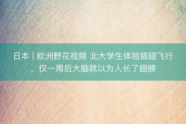 日本 | 欧洲野花视频 北大学生体验插翅飞行，仅一周后大脑就以为人长了翅膀