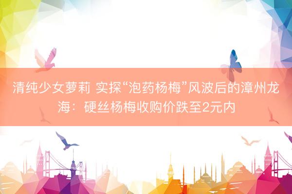 清纯少女萝莉 实探“泡药杨梅”风波后的漳州龙海：硬丝杨梅收购价跌至2元内