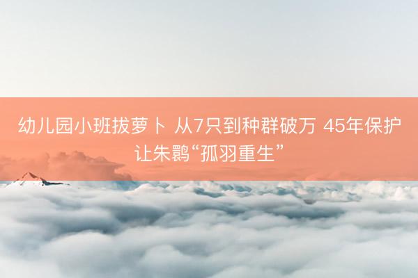 幼儿园小班拔萝卜 从7只到种群破万 45年保护让朱鹮“孤羽重生”