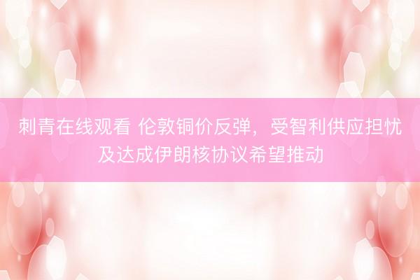 刺青在线观看 伦敦铜价反弹，受智利供应担忧及达成伊朗核协议希望推动