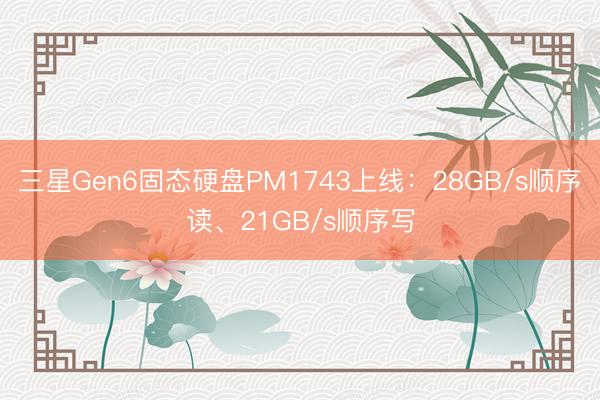 三星Gen6固态硬盘PM1743上线：28GB/s顺序读、21GB/s顺序写
