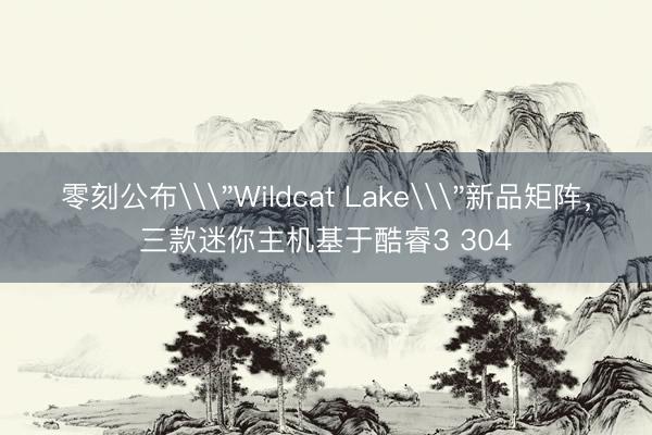 零刻公布\