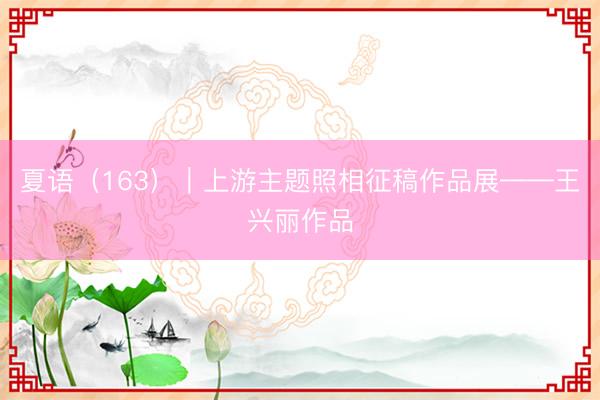 夏语(163)|上游主题照相征稿作品展——王兴丽作品