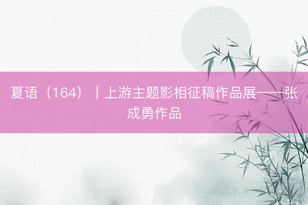 夏语（164）｜上游主题影相征稿作品展——张成勇作品