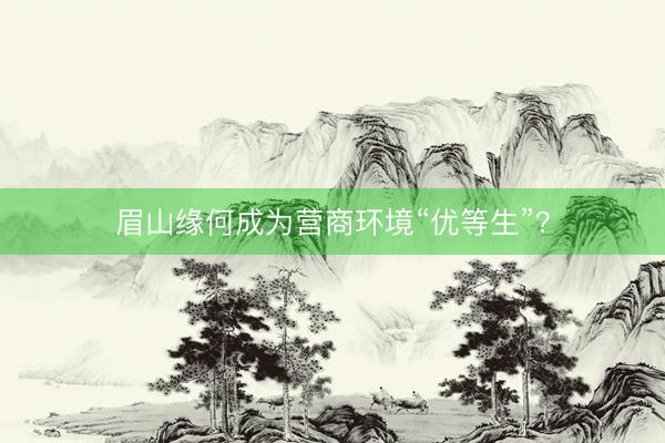 眉山缘何成为营商环境“优等生”？
