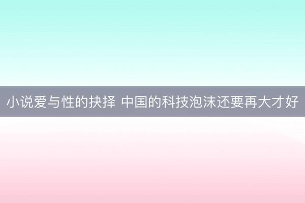 小说爱与性的抉择 中国的科技泡沫还要再大才好