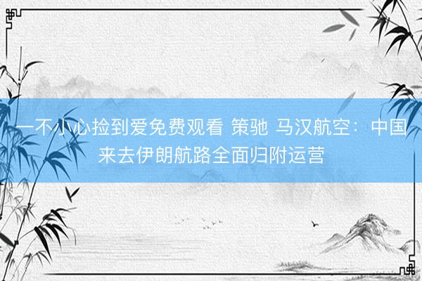 一不小心捡到爱免费观看 策驰 马汉航空：中国来去伊朗航路全面归附运营