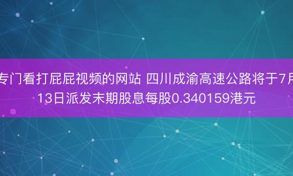 专门看打屁屁视频的网站 四川成渝高速公路将于7月13日派发末期股息每股0.340159港元