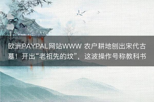 欧洲PAYPAL网站WWW 农户耕地刨出宋代古墓！开出“老祖先的坟”，这波操作号称教科书