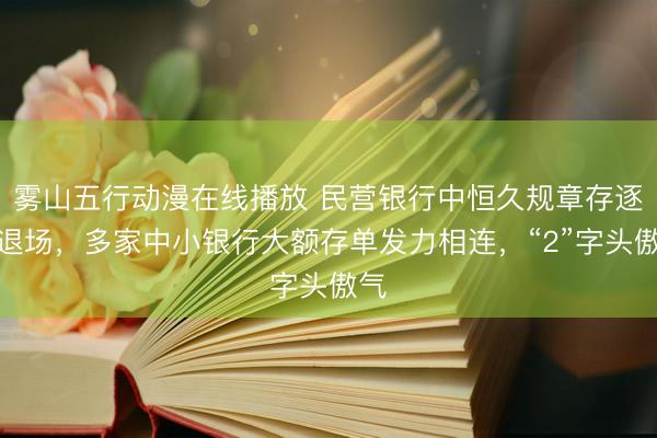雾山五行动漫在线播放 民营银行中恒久规章存逐步退场，多家中小银行大额存单发力相连，“2”字头傲气