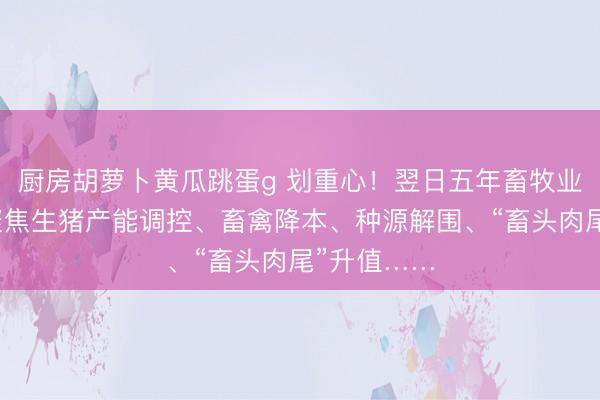 厨房胡萝卜黄瓜跳蛋g 划重心！翌日五年畜牧业这样干：聚焦生猪产能调控、畜禽降本、种源解围、“畜头肉尾”升值……