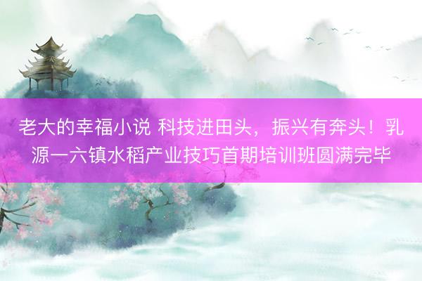 老大的幸福小说 科技进田头,振兴有奔头!乳源一六镇水稻产业技巧首期培训班圆满完毕