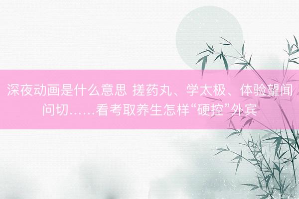 深夜动画是什么意思 搓药丸、学太极、体验望闻问切……看考取养生怎样“硬控”外宾