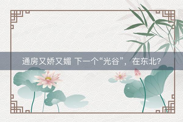 通房又娇又媚 下一个“光谷”，在东北？