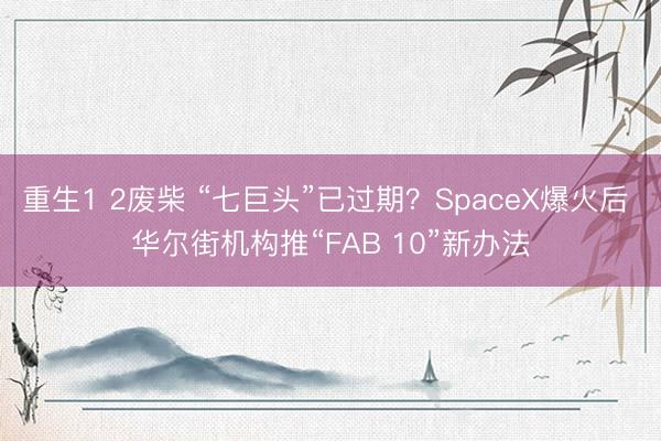 重生1 2废柴 “七巨头”已过期？SpaceX爆火后 华尔街机构推“FAB 10”新办法