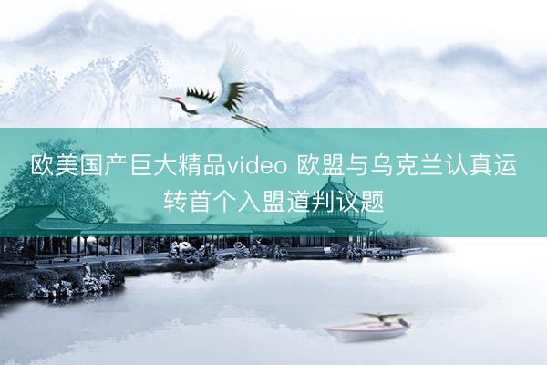 欧美国产巨大精品video 欧盟与乌克兰认真运转首个入盟道判议题