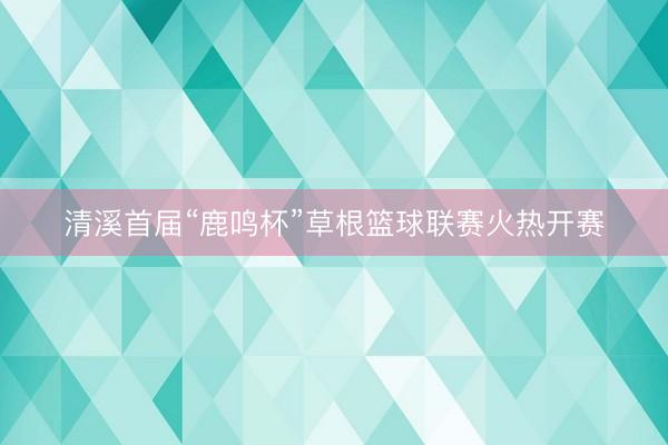清溪首届“鹿鸣杯”草根篮球联赛火热开赛