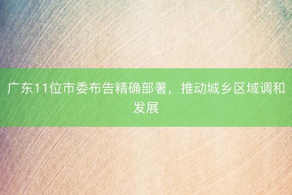 广东11位市委布告精确部署，推动城乡区域调和发展